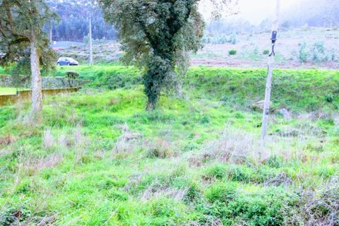 Tomt i Ponte de Lima, Viana do Castelo, Ponte de Lima - € 100 000 | Ref: NH368 - foto 10