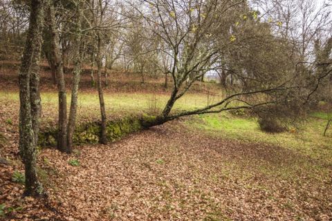 Herregård i Arouca, Aveiro, Arouca - € 1 100 000 | Ref: SAVPRT15641 - foto 24