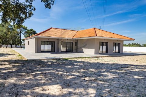 Farm i Quinta do Anjo, Setubal, Quinta do Anjo - € 1.150.000 | Ref: VIL_1852 - foto 48