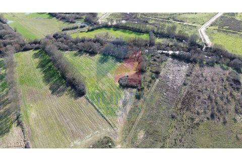 Ruïna a Fundao, Castelo Branco, Fundao - € 60.000 | Ref: 440011/25COV - foto 2