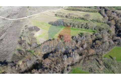Ruïna a Fundao, Castelo Branco, Fundao - € 60.000 | Ref: 440011/25COV - foto 4