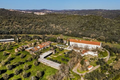 Gård i Tomar, Santarem, Tomar - € 7 000 000 | Ref: SAVLBN1221 - foto 2