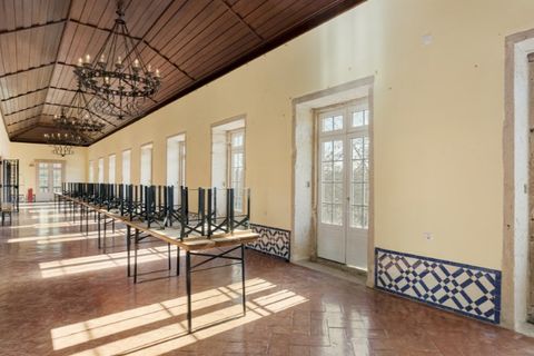 Gård i Tomar, Santarem, Tomar - € 7 000 000 | Ref: SAVLBN1221 - foto 14
