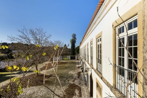 Gård i Tomar, Santarem, Tomar - € 7 000 000 | Ref: SAVLBN1221 - foto 22