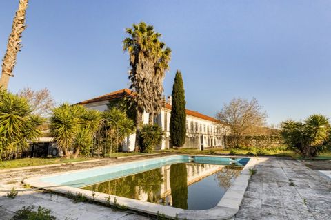 Gård i Tomar, Santarem, Tomar - € 7 000 000 | Ref: SAVLBN1221 - foto 23
