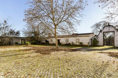 Gård i Tomar, Santarem, Tomar - € 7 000 000 | Ref: SAVLBN1221 - foto 26