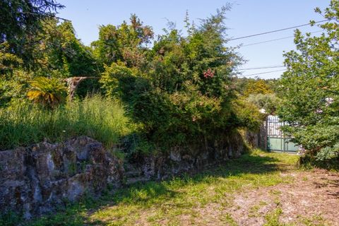 Farm i Guimaraes, Braga, Guimaraes - € 595.000 | Ref: SAVPRT16150 - foto 4
