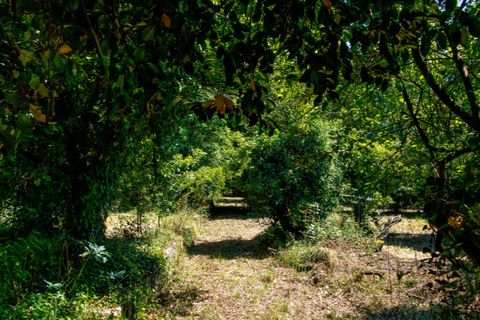 Farm i Guimaraes, Braga, Guimaraes - € 595.000 | Ref: SAVPRT16150 - foto 5