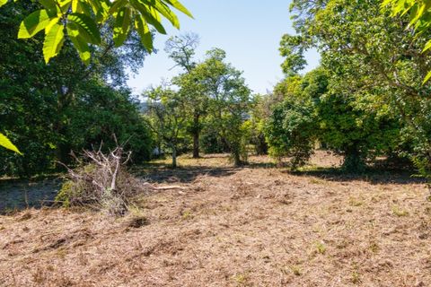 Farm i Guimaraes, Braga, Guimaraes - € 595.000 | Ref: SAVPRT16150 - foto 9