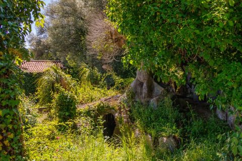 Farm i Guimaraes, Braga, Guimaraes - € 595.000 | Ref: SAVPRT16150 - foto 10