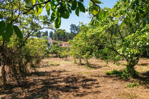 Farm i Guimaraes, Braga, Guimaraes - € 595.000 | Ref: SAVPRT16150 - foto 13