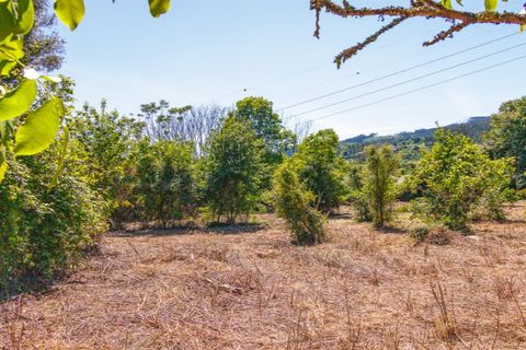Farm i Guimaraes, Braga, Guimaraes - € 595.000 | Ref: SAVPRT16150 - foto 14