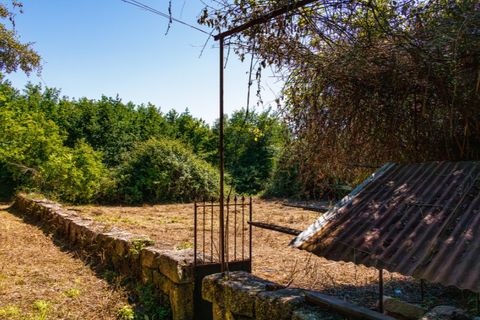 Farm i Guimaraes, Braga, Guimaraes - € 595.000 | Ref: SAVPRT16150 - foto 15