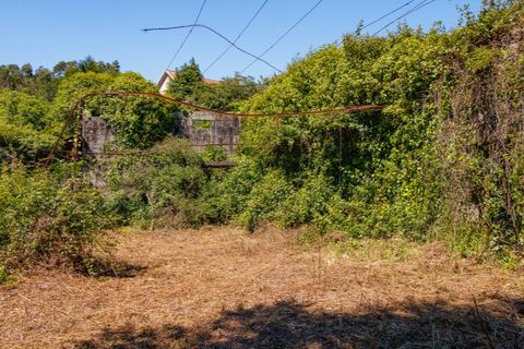 Farm i Guimaraes, Braga, Guimaraes - € 595.000 | Ref: SAVPRT16150 - foto 16