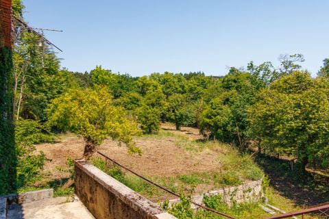 Farm i Guimaraes, Braga, Guimaraes - € 595.000 | Ref: SAVPRT16150 - foto 25