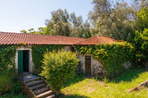 Farm i Guimaraes, Braga, Guimaraes - € 595.000 | Ref: SAVPRT16150 - foto 27