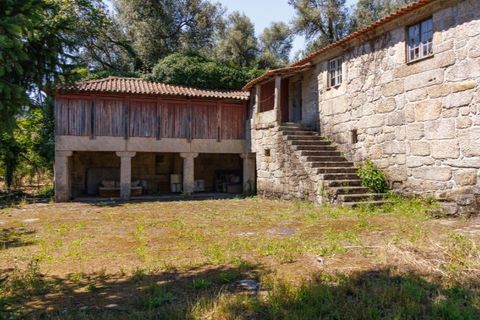 Farm i Guimaraes, Braga, Guimaraes - € 595.000 | Ref: SAVPRT16150 - foto 28