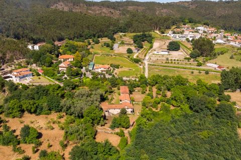 Farm i Guimaraes, Braga, Guimaraes - € 595.000 | Ref: SAVPRT16150 - foto 31