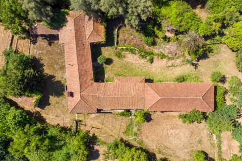 Farm i Guimaraes, Braga, Guimaraes - € 595.000 | Ref: SAVPRT16150 - foto 32