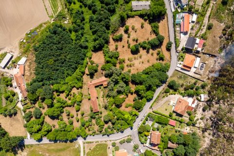 Farm i Guimaraes, Braga, Guimaraes - € 595.000 | Ref: SAVPRT16150 - foto 34