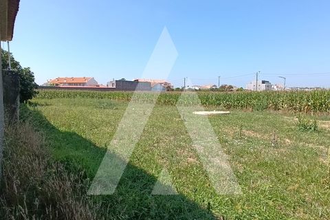 Helårsgrund i Oia, Aveiro, Oia - € 220.000 | Ref: 1130908/24 LR - foto 2