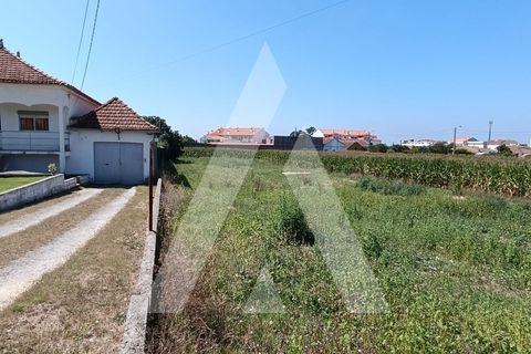 Helårsgrund i Oia, Aveiro, Oia - € 220.000 | Ref: 1130908/24 LR - foto 3