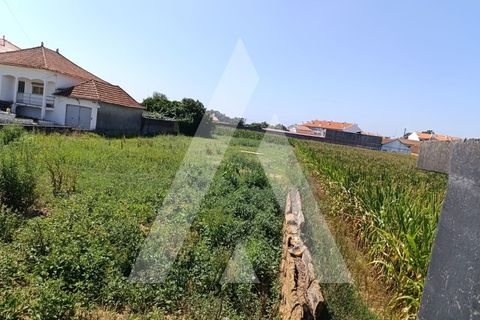 Helårsgrund i Oia, Aveiro, Oia - € 220.000 | Ref: 1130908/24 LR - foto 4