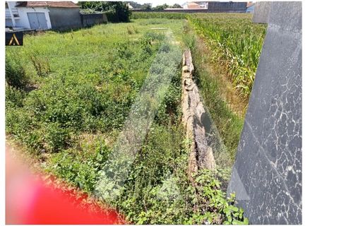 Helårsgrund i Oia, Aveiro, Oia - € 220.000 | Ref: 1130908/24 LR - foto 5