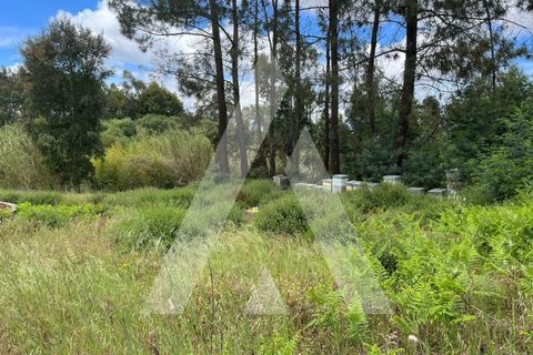 Helårsgrund i Leiria, Leiria, Leiria - € 70.000 | Ref: 1130742/23 LR - foto 10