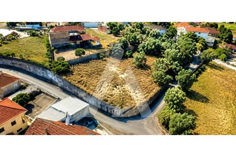 Helårsgrund i Leiria, Leiria, Leiria - € 59.900 | Ref: 1131080/26 LR - foto 2