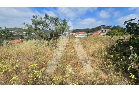 Helårsgrund i Leiria, Leiria, Leiria - € 59.900 | Ref: 1131080/26 LR - foto 3