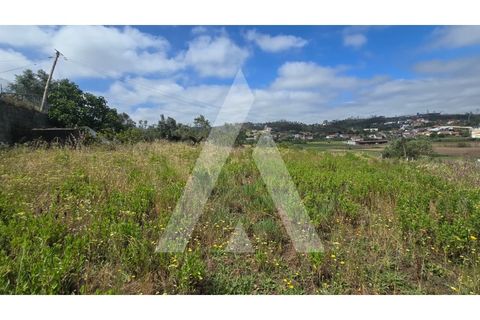 Helårsgrund i Leiria, Leiria, Leiria - € 59.900 | Ref: 1131080/26 LR - foto 6