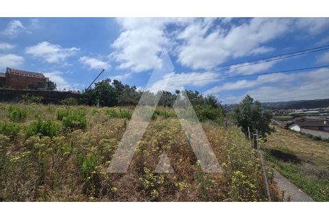 Helårsgrund i Leiria, Leiria, Leiria - € 59.900 | Ref: 1131080/26 LR - foto 12