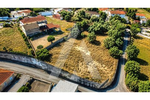 Helårsgrund i Leiria, Leiria, Leiria - € 59.900 | Ref: 1131080/26 LR - foto 13