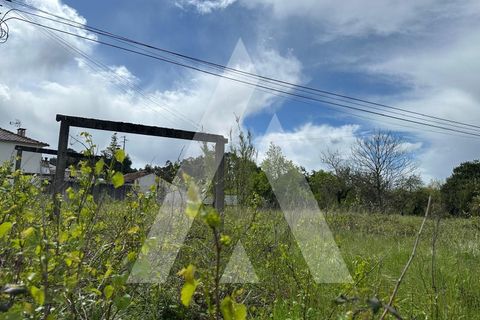 Helårsgrund i Oliveira do Bairro, Aveiro, Oliveira do Bairro - € 37.500 | Ref: 1131000A/25 LR - foto 4