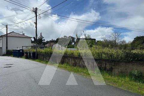 Helårsgrund i Oliveira do Bairro, Aveiro, Oliveira do Bairro - € 37.500 | Ref: 1131000A/25 LR - foto 13
