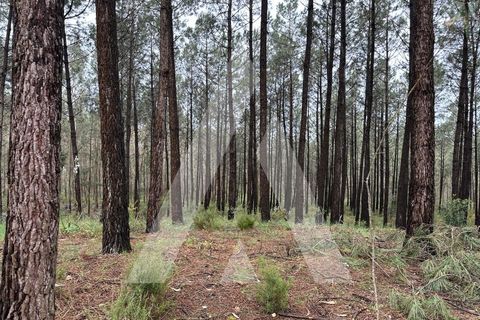 Helårsgrund i Leiria, Leiria, Leiria - € 55.000 | Ref: 1131001/25 LR - foto 2