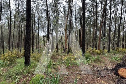 Helårsgrund i Leiria, Leiria, Leiria - € 55.000 | Ref: 1131001/25 LR - foto 5