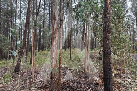 Helårsgrund i Leiria, Leiria, Leiria - € 55.000 | Ref: 1131001/25 LR - foto 6