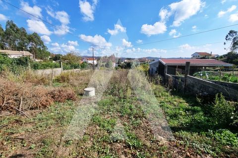 Villa i Boa Vista, Leiria, Boa Vista - € 385.000 | Ref: 1300161/23NL - foto 41