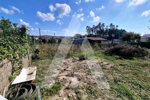 Villa i Boa Vista, Leiria, Boa Vista - € 385.000 | Ref: 1300161/23NL - foto 42