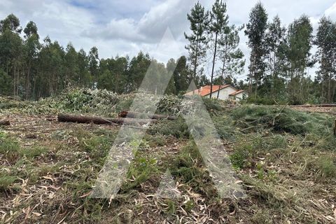 Helårsgrund i Oliveira do Bairro, Aveiro, Oliveira do Bairro - € 40.000 | Ref: 1130900/24LR - foto 11