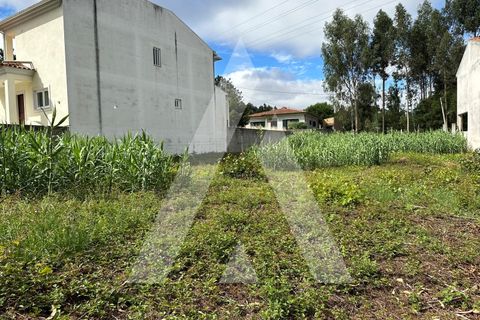 Helårsgrund i Oliveira do Bairro, Aveiro, Oliveira do Bairro - € 30.000 | Ref: 1130783/23 LR - foto 5