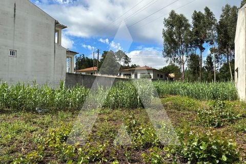 Helårsgrund i Oliveira do Bairro, Aveiro, Oliveira do Bairro - € 30.000 | Ref: 1130783/23 LR - foto 6