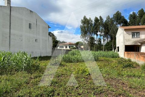 Helårsgrund i Oliveira do Bairro, Aveiro, Oliveira do Bairro - € 30.000 | Ref: 1130783/23 LR - foto 8