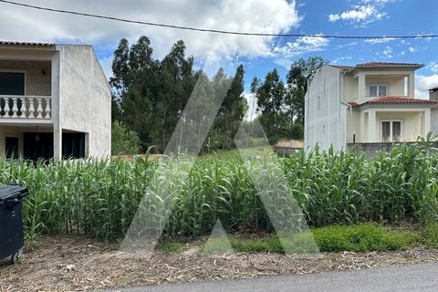 Helårsgrund i Oliveira do Bairro, Aveiro, Oliveira do Bairro - € 30.000 | Ref: 1130783/23 LR - foto 9