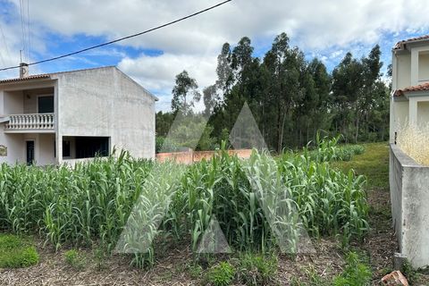 Helårsgrund i Oliveira do Bairro, Aveiro, Oliveira do Bairro - € 30.000 | Ref: 1130783/23 LR - foto 12
