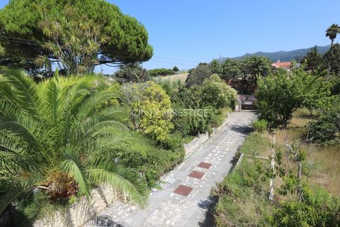 Villa i Sintra, Lisbon, Sintra - € 870.000 | Ref: CP-1021M - foto 3