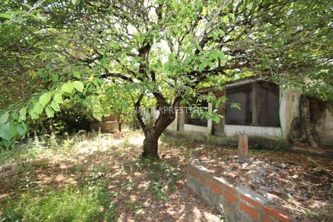 Villa i Sintra, Lisbon, Sintra - € 870.000 | Ref: CP-1021M - foto 34