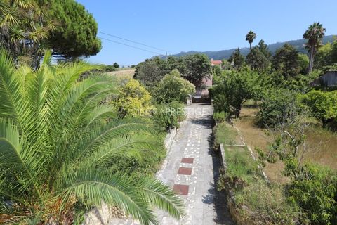 Villa i Sintra, Lisbon, Sintra - € 870.000 | Ref: CP-1021M - foto 37
